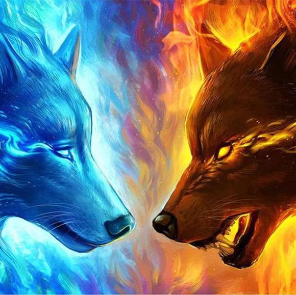 Meet your Posher, Joe - Picture 1 of 1